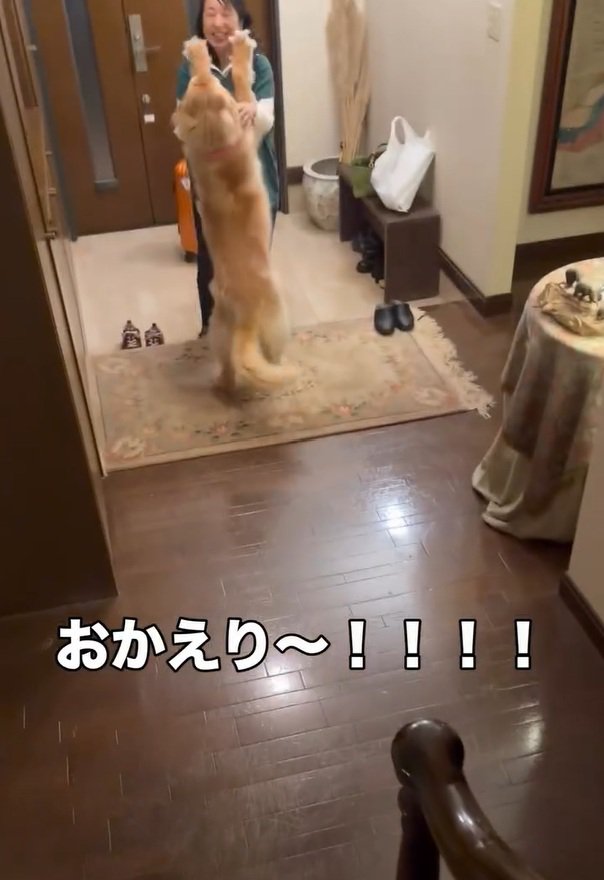 ママに飛びつくハルちゃん