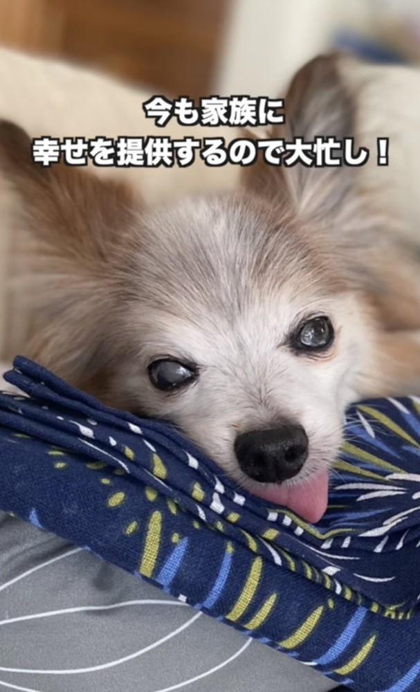 ずーっと大忙し！