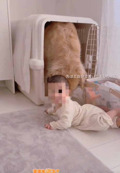 振り向く赤ちゃん