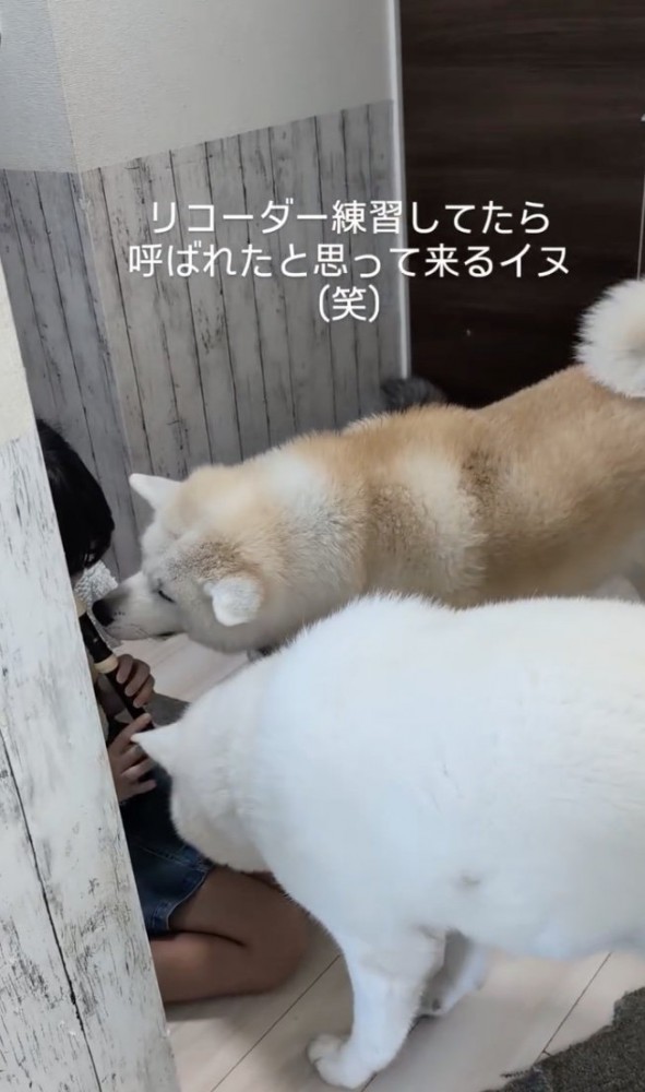 練習なんてできない