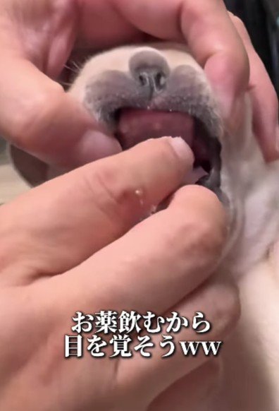 錠剤飲むよ！