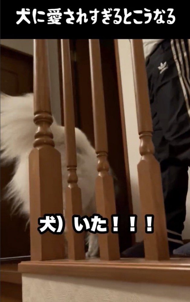 あふれすぎる喜び