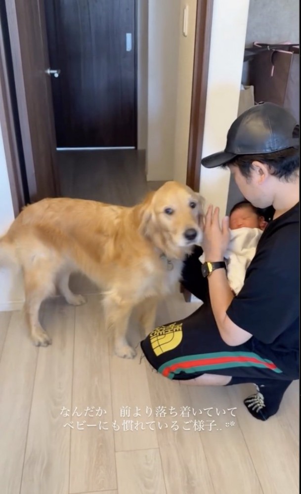 「ちょっと慣れましたよ」