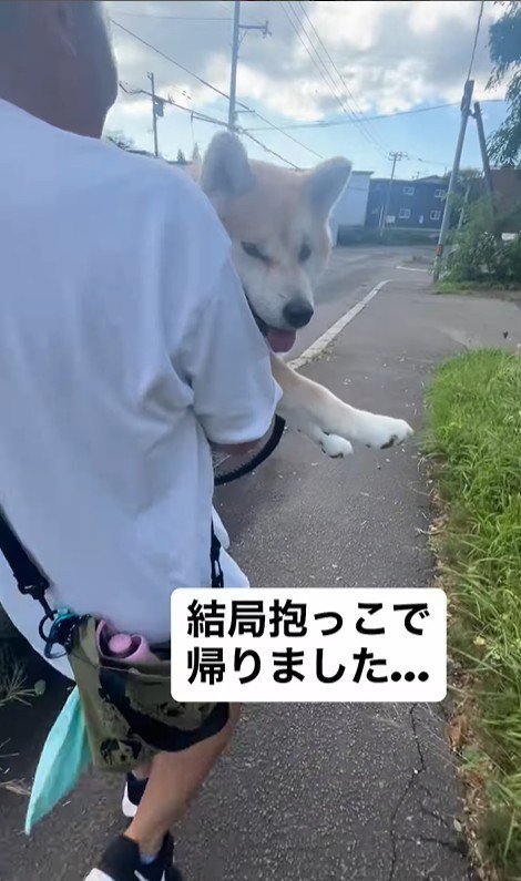 ぶん太くんとパパさんのお散歩9