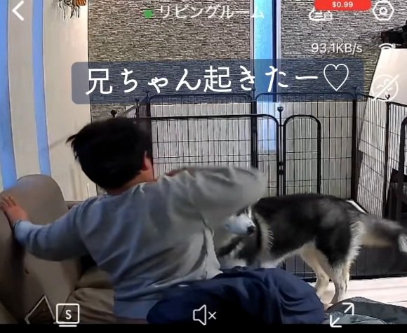 起きた息子さん