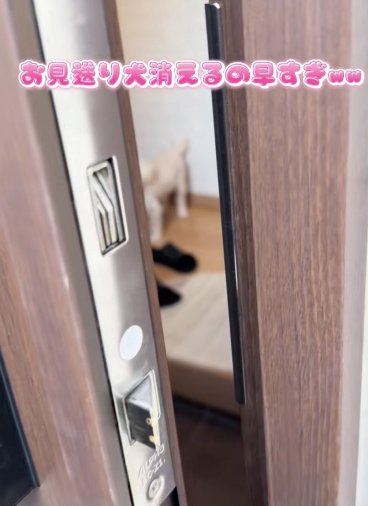 名残惜しいけれど、飼い主さんはドアを閉めます…