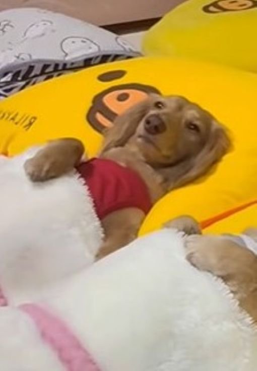 起きている…！！（笑）