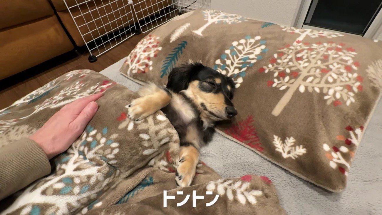 そろそろ夢の中かな？