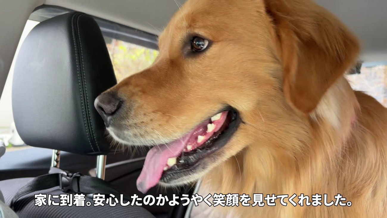 表情豊かなアルトちゃんでした