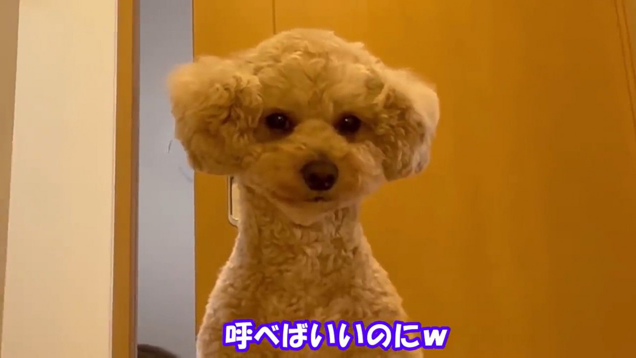 甘えん坊で健気♡