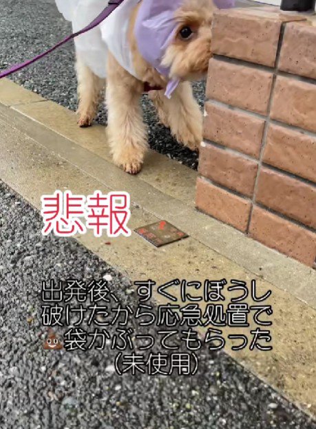 少しずつ改良されていった