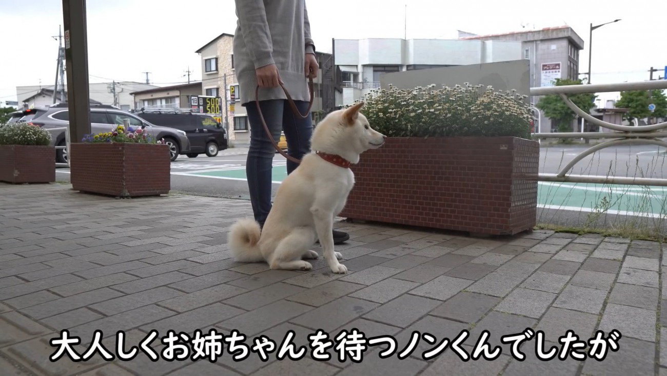 忠犬ハチ公のように待機