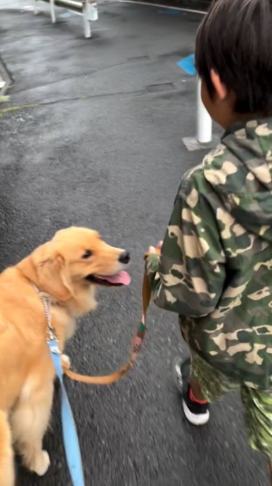 男の子を見上げる犬