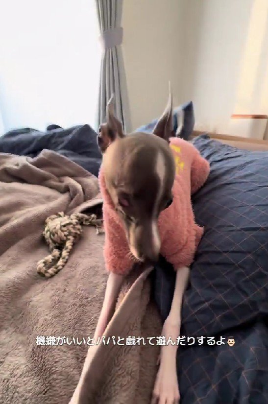 甘えん坊な一面も♡