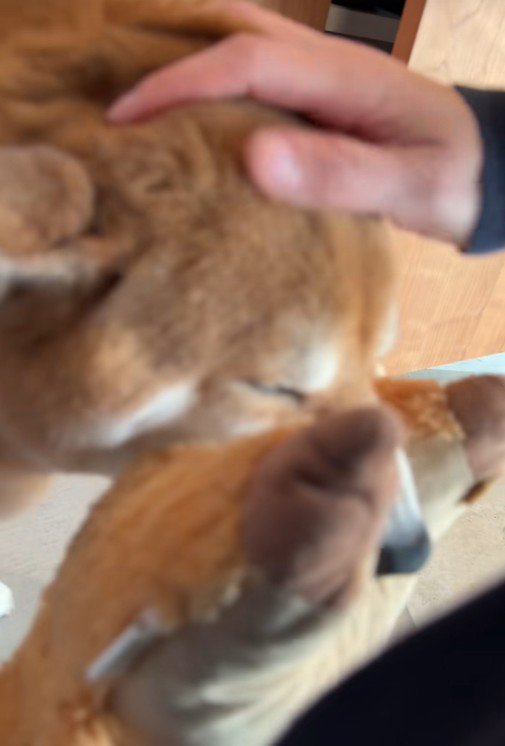 甘えん坊全開♡