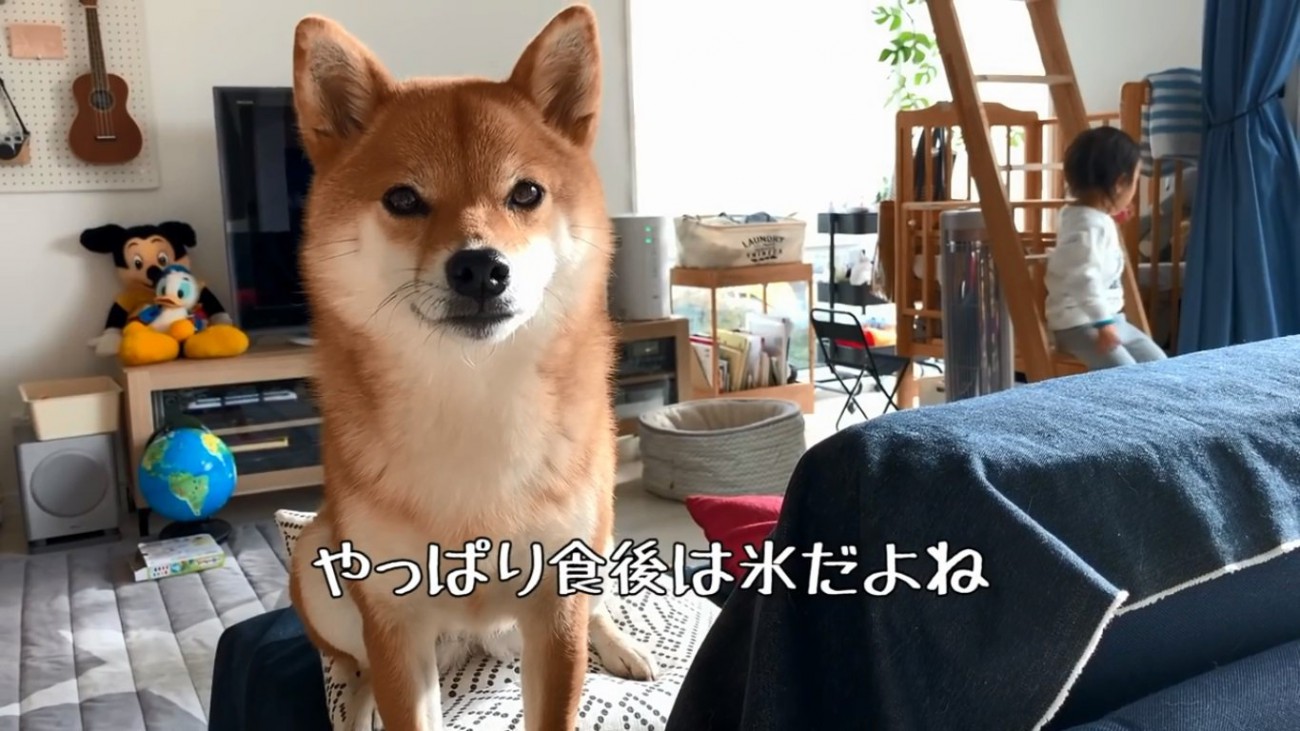 氷が欲しい花子ちゃん