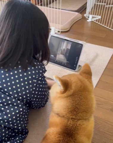 真剣
