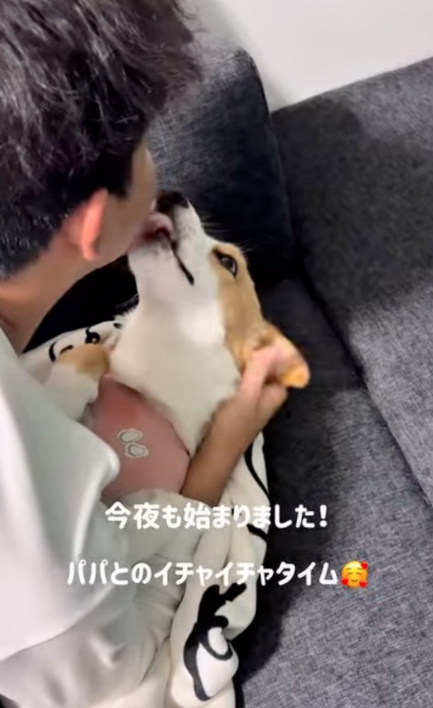 口元を舐める犬