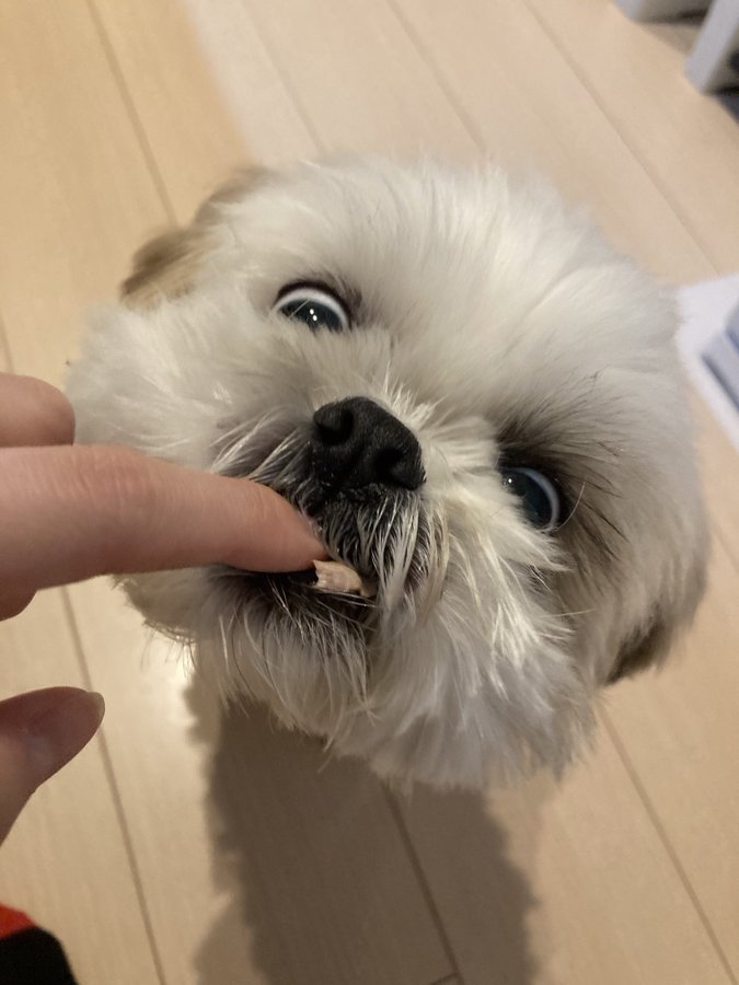 表情