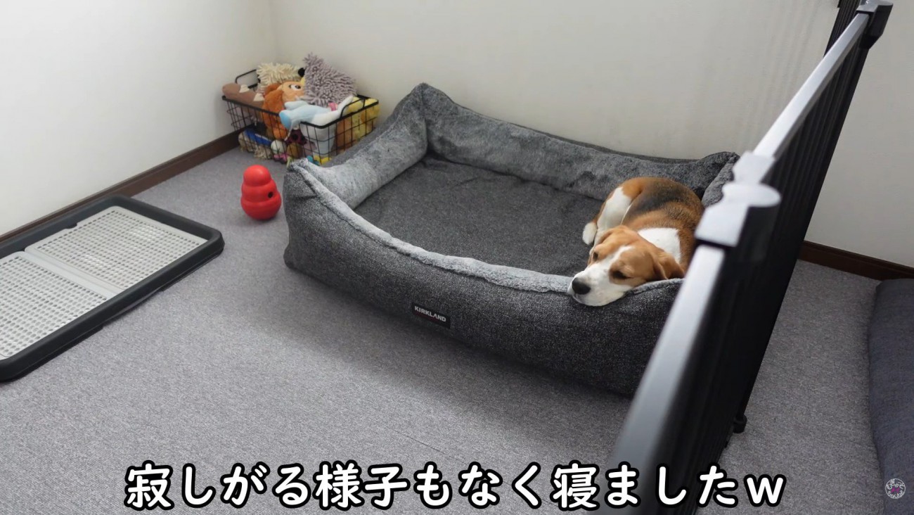 出勤前のママさんとメイちゃん⑩