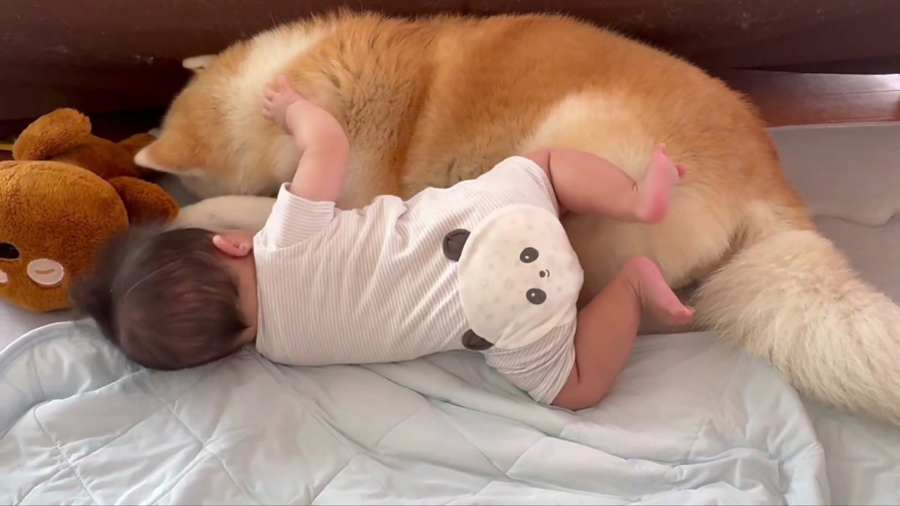 赤ちゃんの隣でスヤスヤ