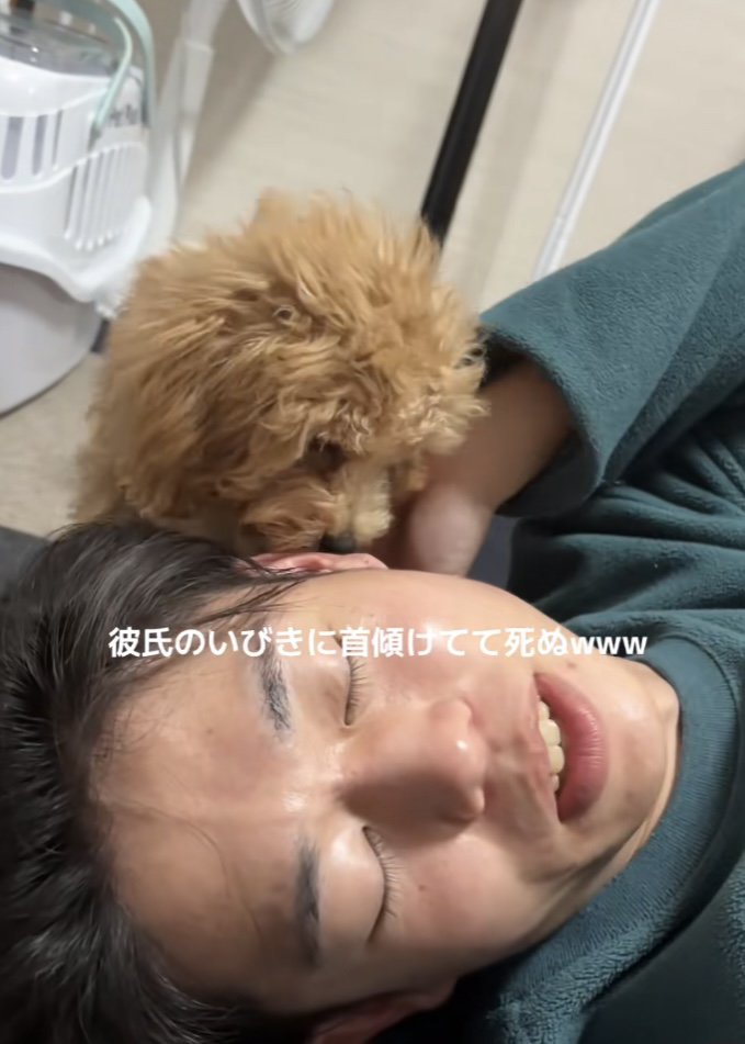 トイプーを手で避ける男性