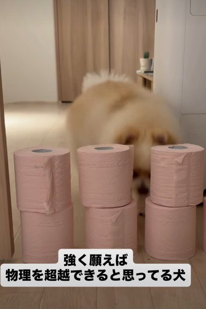 「…そろそろ叶ったかな？」
