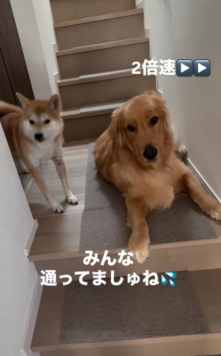 鉄壁にはなりきれてない！？