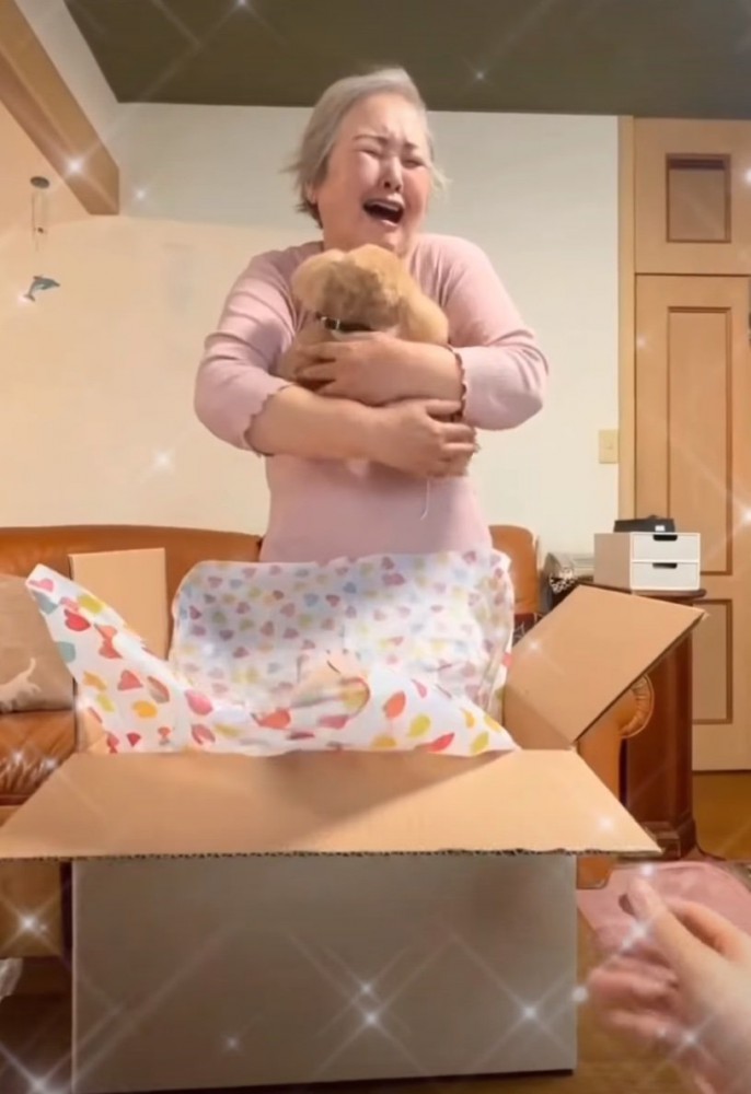 ぬいぐるみを抱きしめるおばあさん