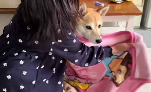 いらっしゃいませ～！