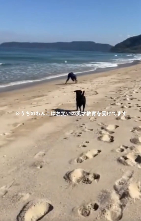 駆け出すロコくん