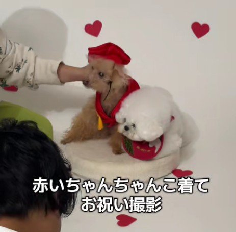 ぷにちゃんと記念撮影