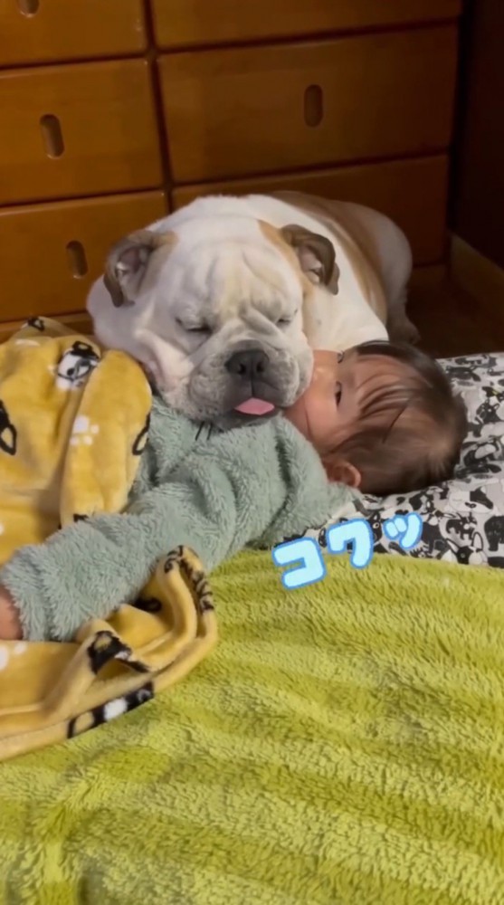 飼い主の言葉に頷く女の子