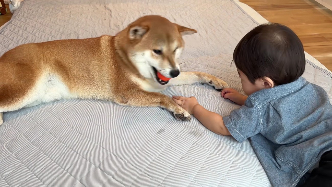 突然の攻防戦！？