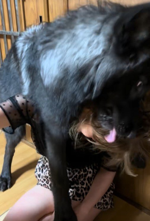 もはや襲われているかのよう（笑）