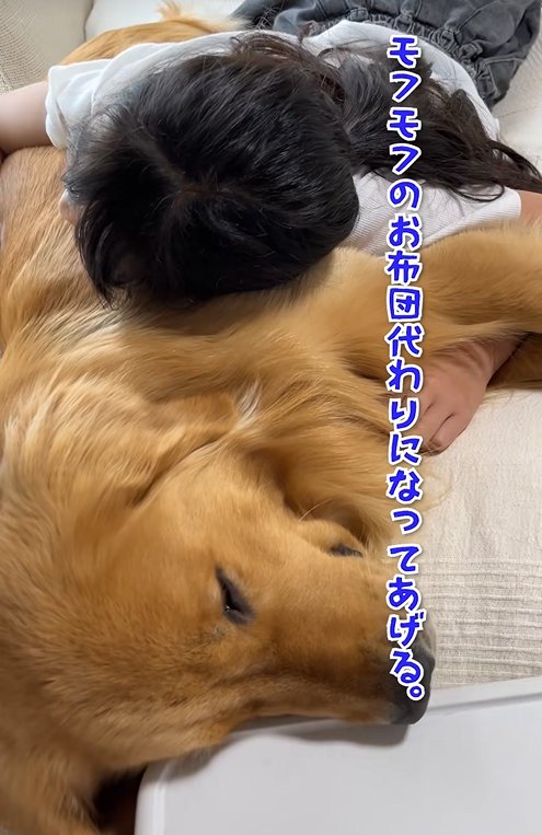 子供に寄り添う大型犬
