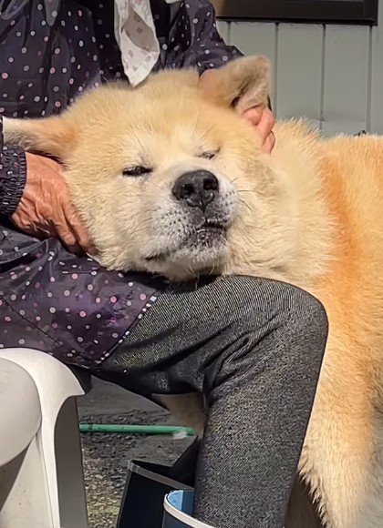 尊いワンシーンなのでした