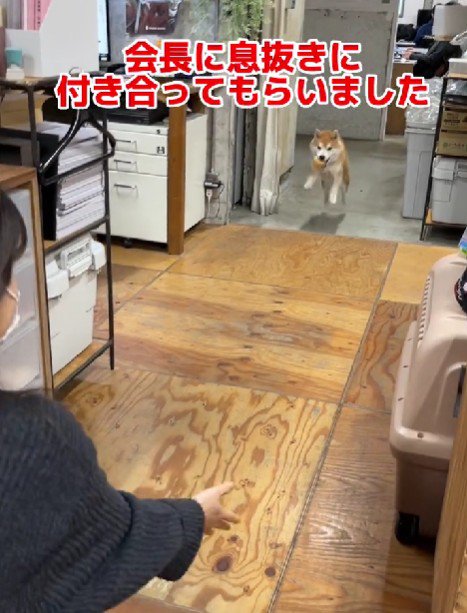 息抜きに付き合うことも