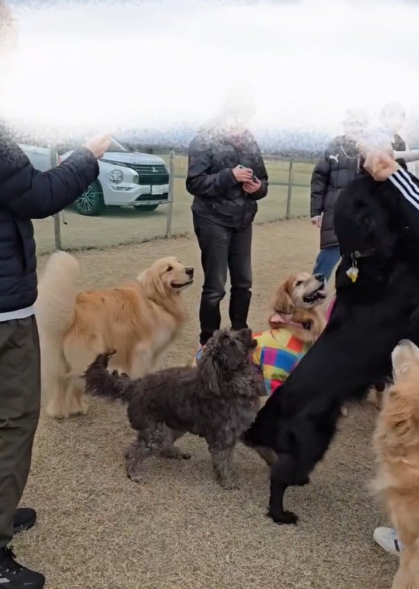 輪の外側に行ってしまったにこちゃん