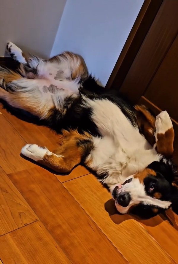 起きた都ちゃん