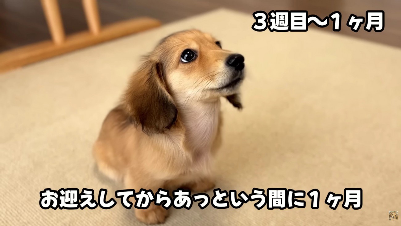 これからもすくすく育ってね