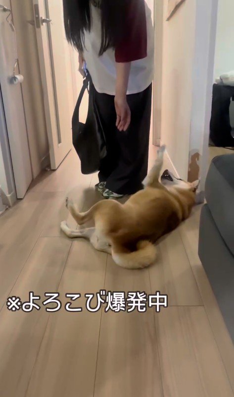 お姉ちゃんを熱烈歓迎するけいちゃん6