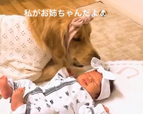 くららちゃんと赤ちゃん4