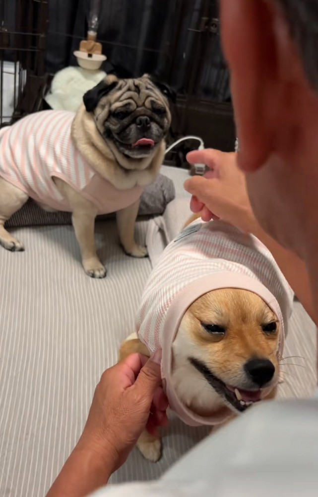 とんちゃんを指差す