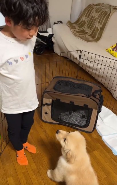 見つめ合うふたり