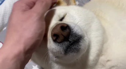 満足そうな表情♡