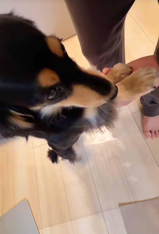 紬ちゃんのおねだり6