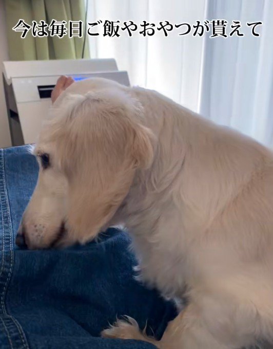 今は安心して暮らせているそう