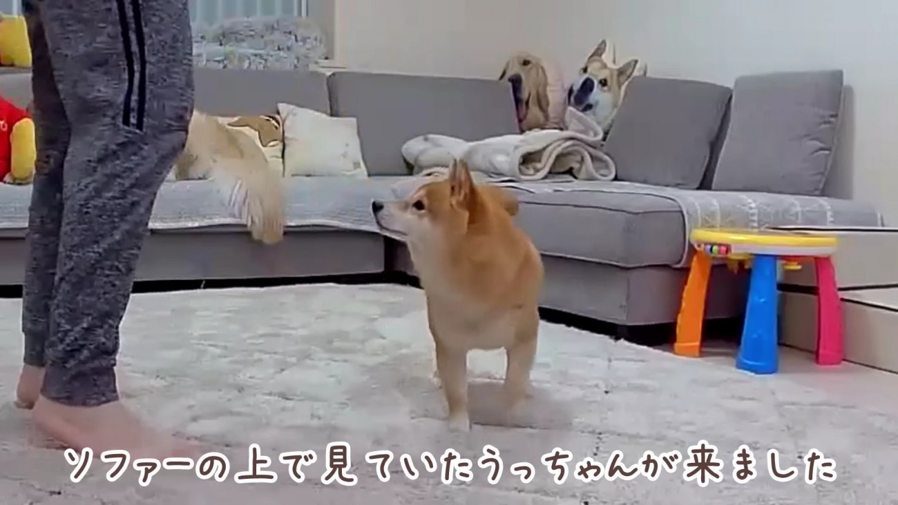 うにくんが並んでる…！！