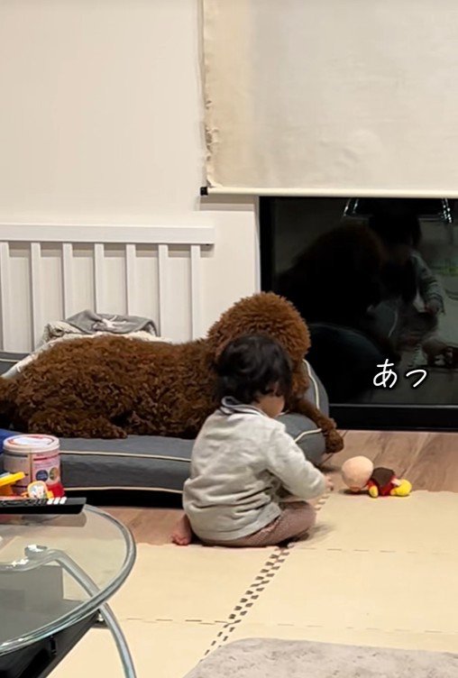 きんとん君VS男の子8